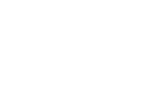 BEST FICTION DIRECTOR - CCNY REEL CITY FILM FESTIVAL - 2024