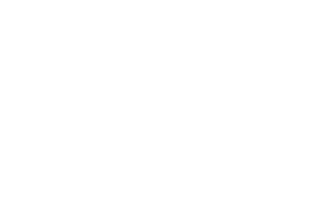 OFFICIAL SELECTION - Oniros Film Awards - New York - 2026 (1)